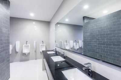 Renovated Bathroom Features